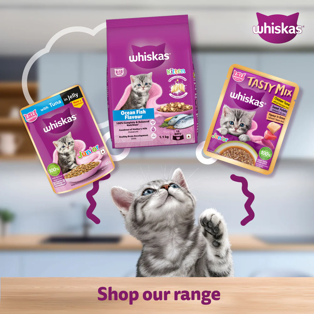 Whiskas Chicken in Gravy Meal Kitten Wet Food - Image 10