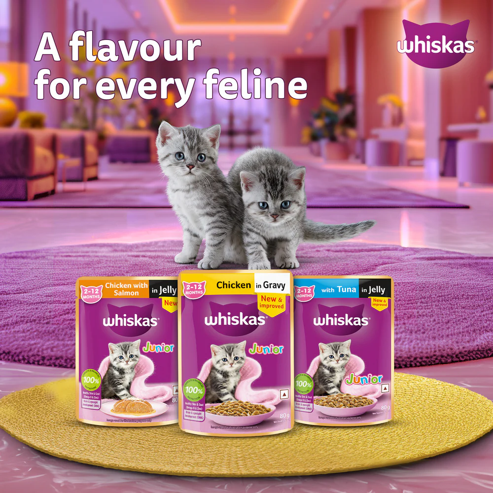 Whiskas Chicken in Gravy Meal Kitten Wet Food - Image 11