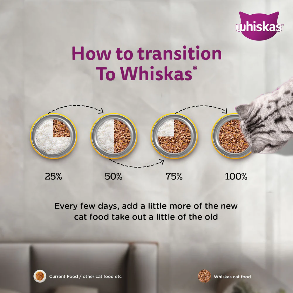 Whiskas Chicken in Gravy Meal Kitten Wet Food - Image 12