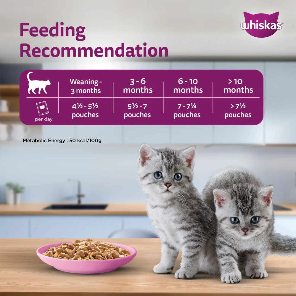 Whiskas Chicken in Gravy Meal Kitten Wet Food - Image 8