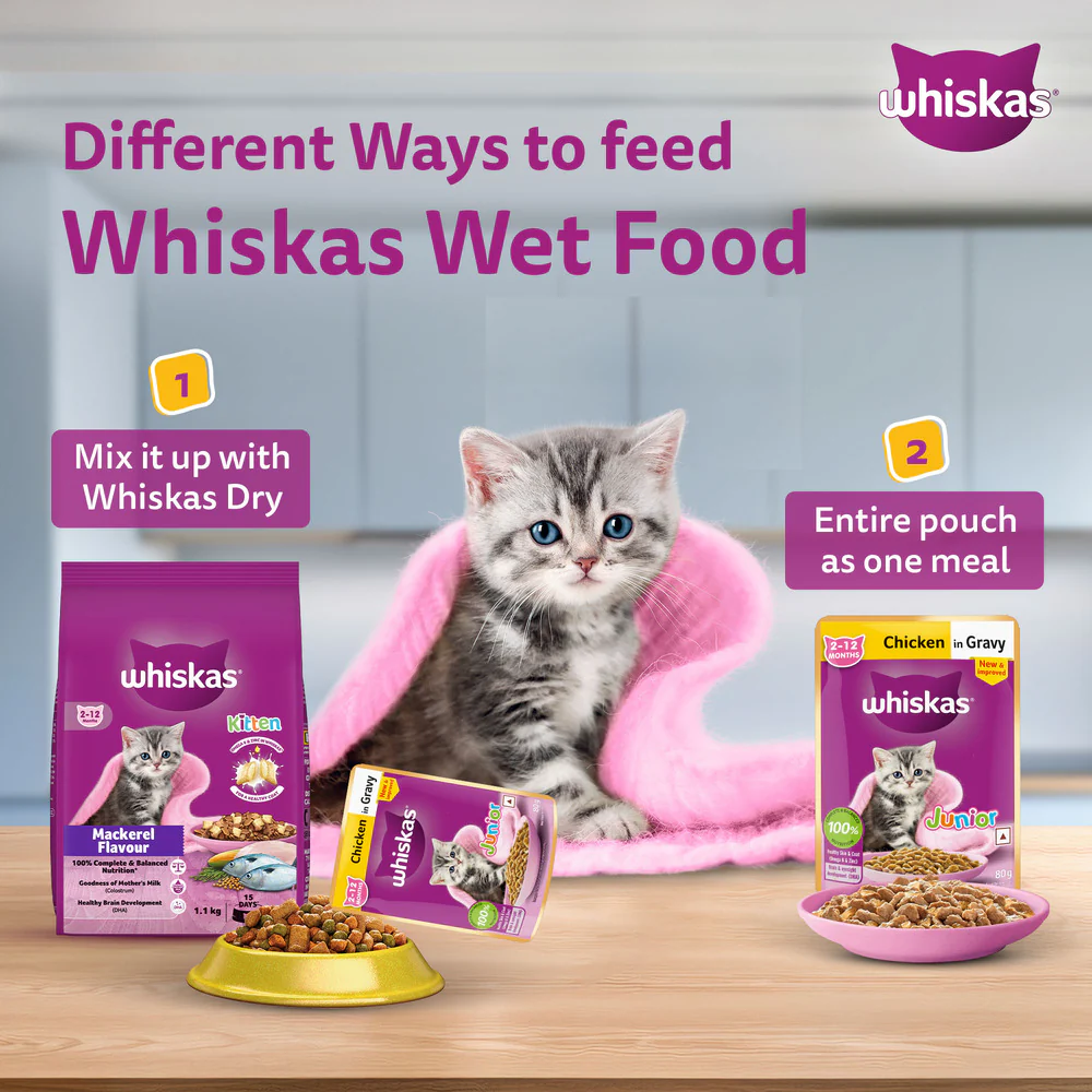 Whiskas Chicken in Gravy Meal Kitten Wet Food - Image 9