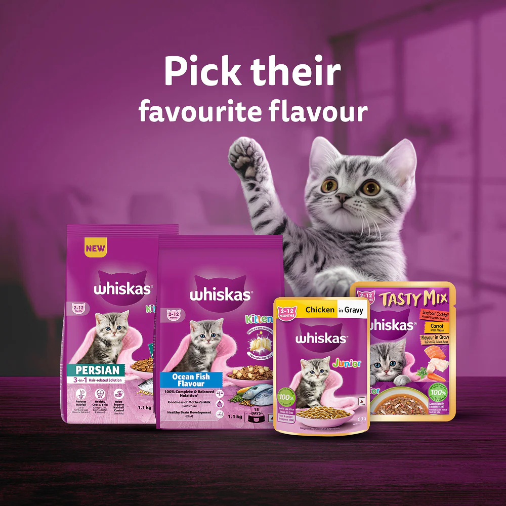 Whiskas Chicken in Gravy Meal Kitten Cat Wet Food - Image 16