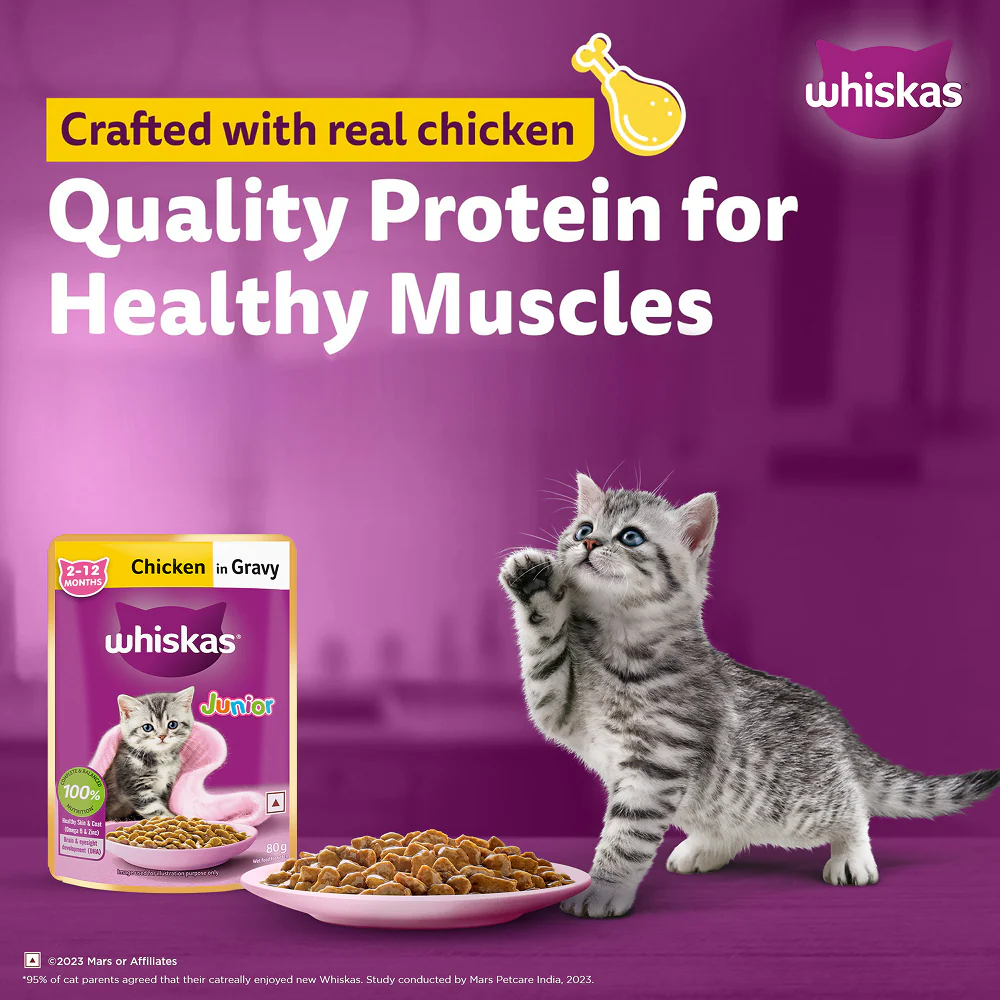 Whiskas Chicken in Gravy Meal Kitten Cat Wet Food - Image 12