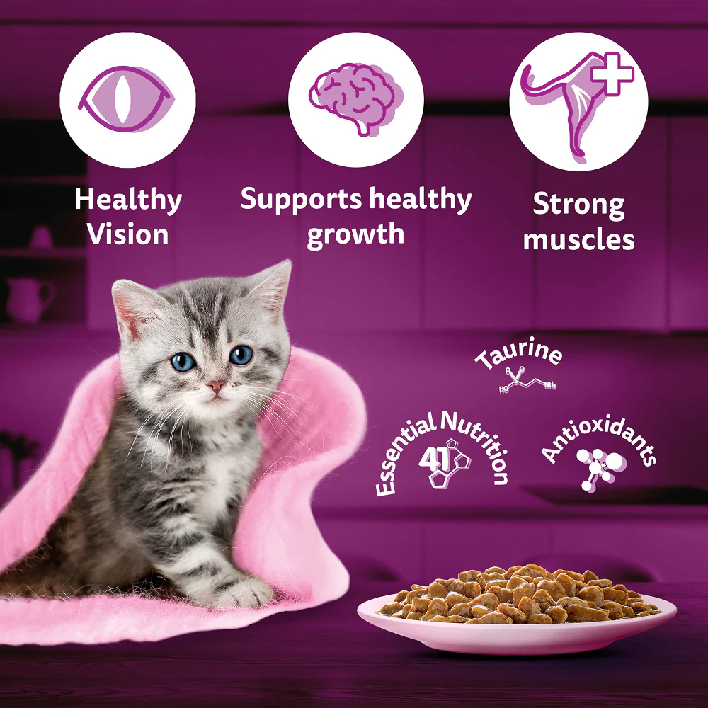 Whiskas Chicken in Gravy Meal Kitten Cat Wet Food - Image 6