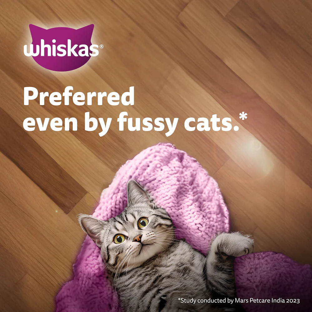 Whiskas Chicken with Salmon in Jelly Kitten (2-12 Months) Cat Wet Food - Image 13