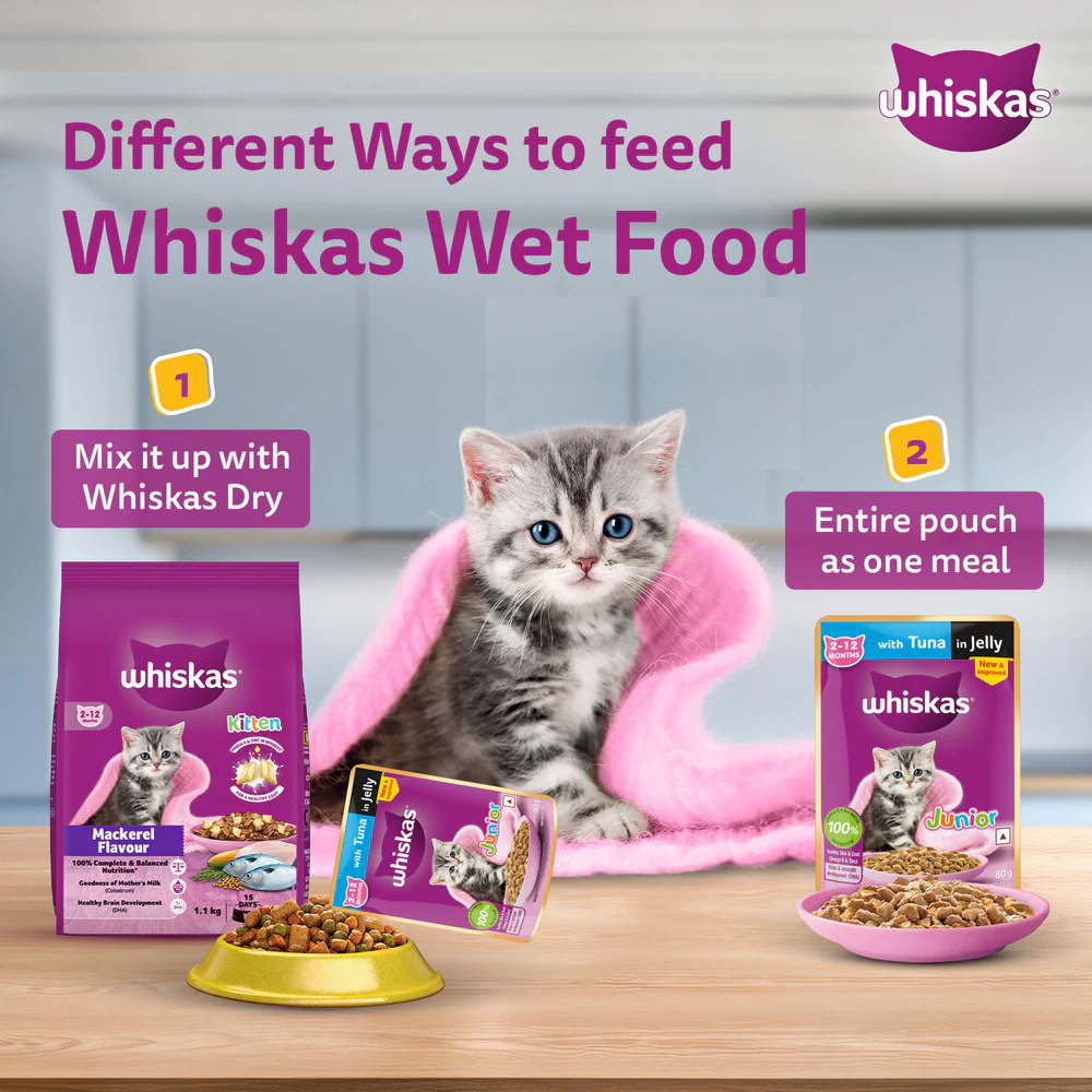 Whiskas Chicken with Salmon in Jelly Kitten (2-12 Months) Cat Wet Food - Image 16