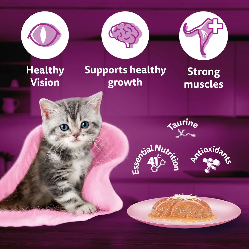 Whiskas Chicken with Salmon in Jelly Kitten (2-12 Months) Cat Wet Food - Image 4