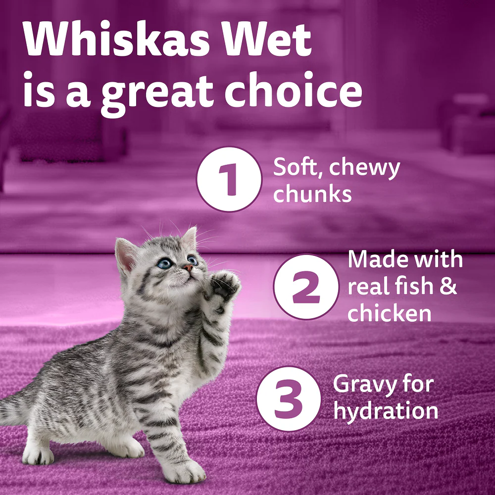 Whiskas Chicken with Salmon in Jelly Kitten (2-12 Months) Cat Wet Food - Image 8