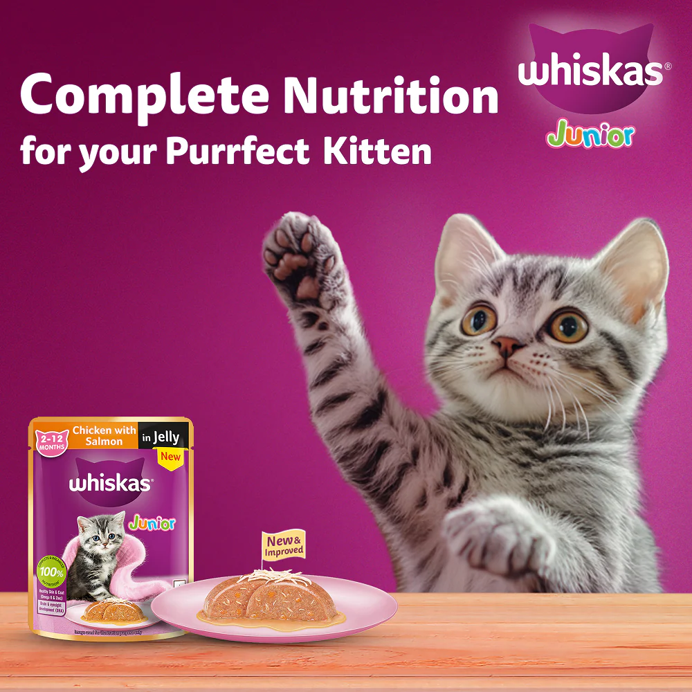 Whiskas Chicken with Salmon in Jelly Kitten (2-12 Months) Cat Wet Food - Image 9
