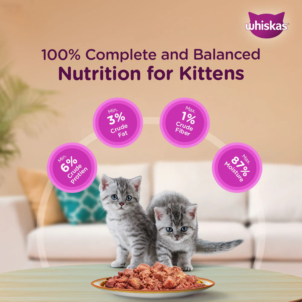 Whiskas Chicken with Salmon in Jelly Kitten (2-12 Months) Cat Wet Food - Image 2