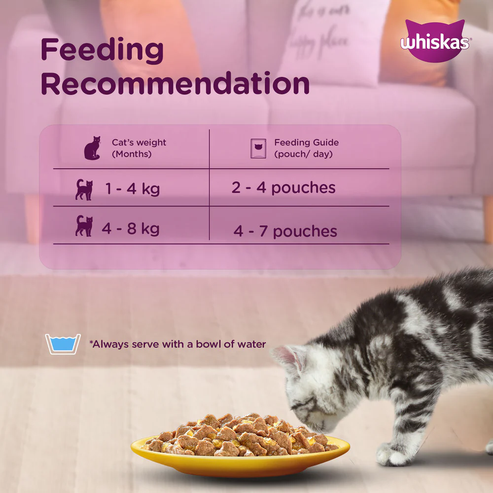 Whiskas Chicken with Salmon in Jelly Kitten (2-12 Months) Cat Wet Food - Image 6