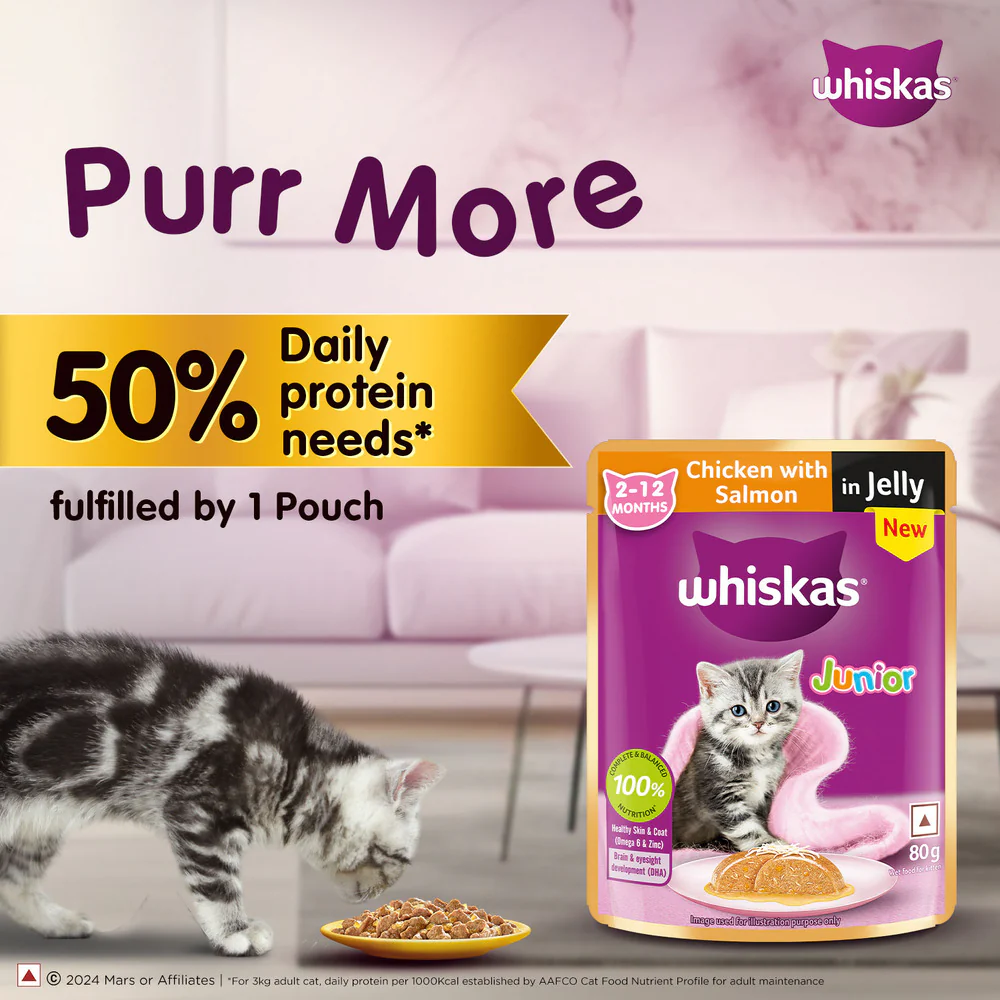 Whiskas Chicken with Salmon in Jelly Kitten (2-12 Months) Cat Wet Food - Image 7