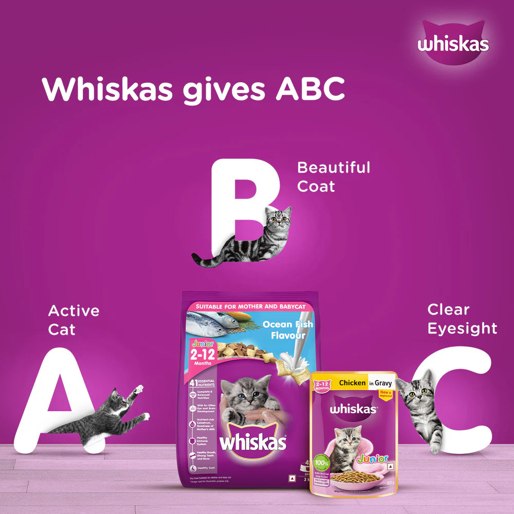 Whiskas Chicken with Salmon in Jelly Kitten (2-12 Months) Cat Wet Food - Image 8