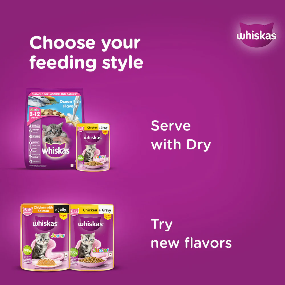 Whiskas Chicken with Salmon in Jelly Kitten (2-12 Months) Cat Wet Food - Image 9