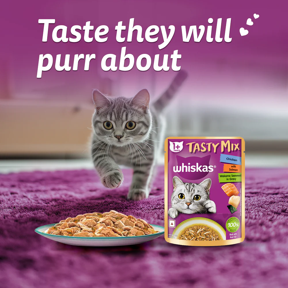 Whiskas Chicken With Salmon Wakame Seaweed in Gravy Tasty Mix Adult Cat Wet Food - Image 12