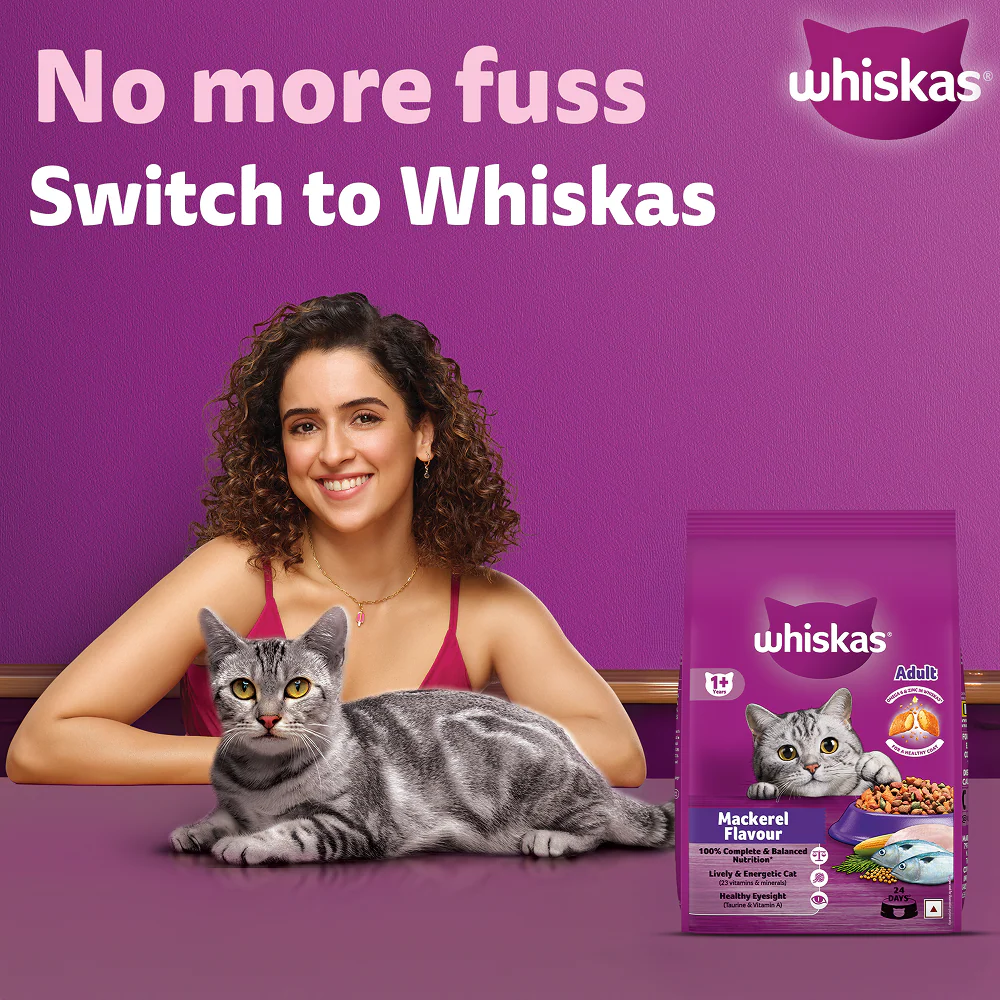 Whiskas Mackerel Flavour Dry Food for Mother and Baby Cat - Image 2