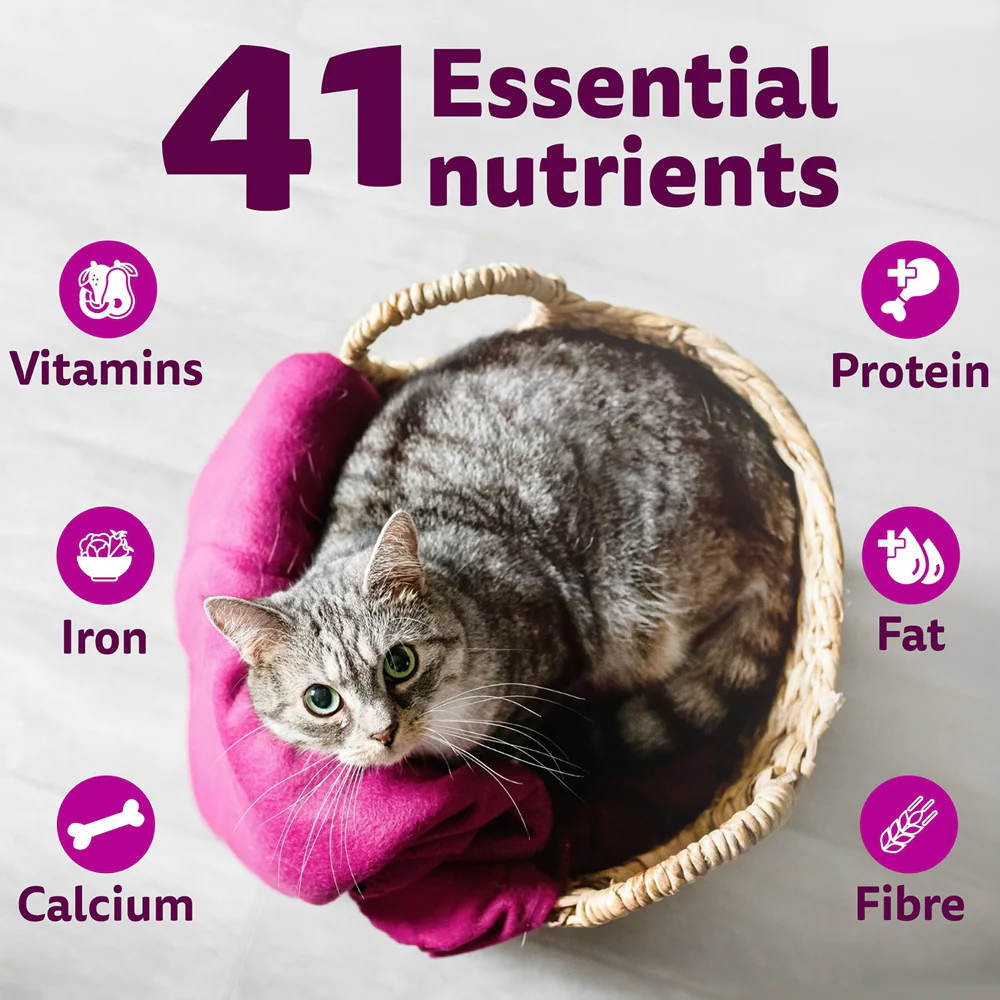 Whiskas Mackerel Flavour Dry Food for Mother and Baby Cat - Image 6