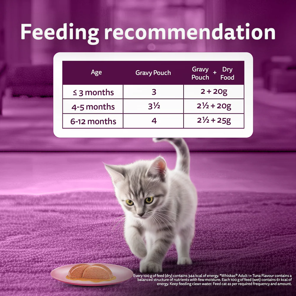 Whiskas Junior Mackerel Flavour Kitten (2-12 months) Cat Wet Food - Image 14