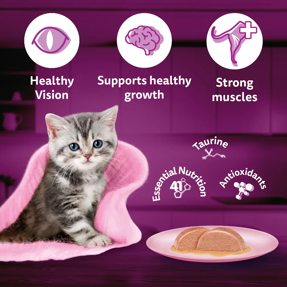 Whiskas Junior Mackerel Flavour Kitten (2-12 months) Cat Wet Food - Image 5