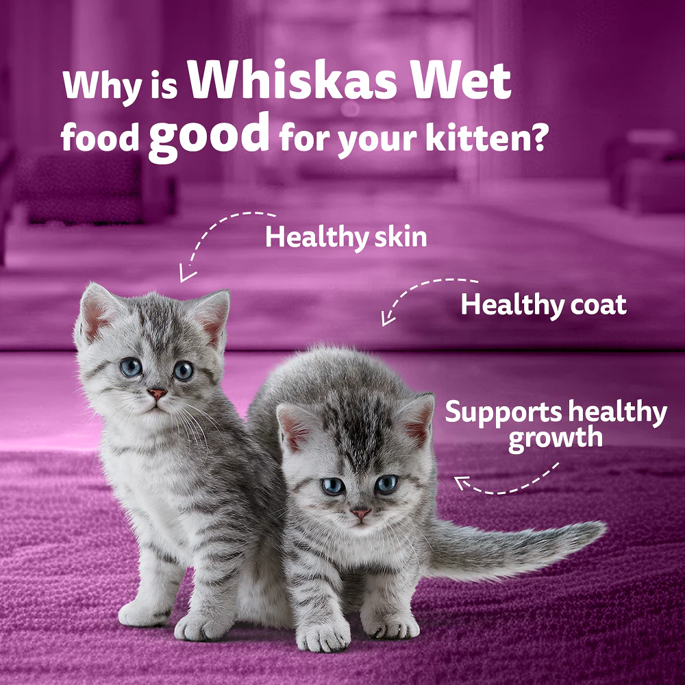 Whiskas Junior Mackerel Flavour Kitten (2-12 months) Cat Wet Food - Image 6