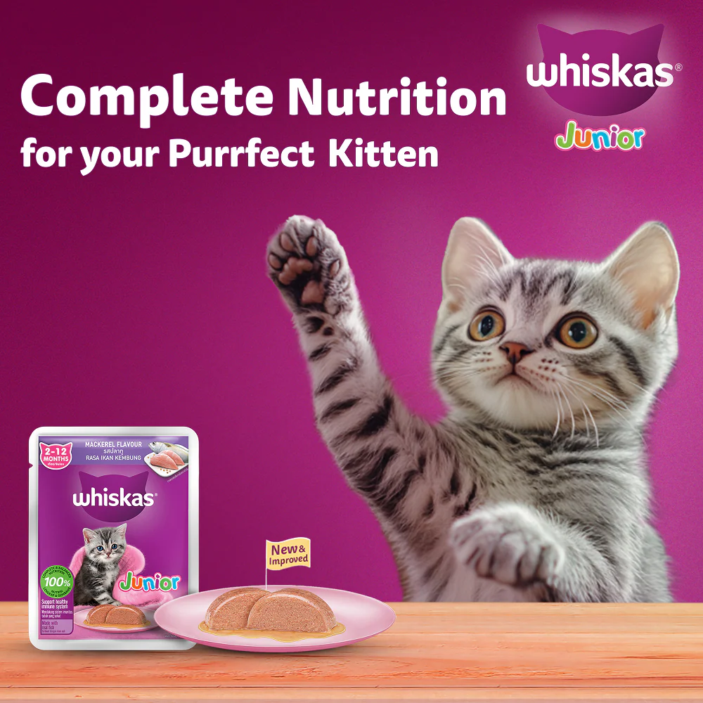 Whiskas Junior Mackerel Flavour Kitten (2-12 months) Cat Wet Food - Image 9