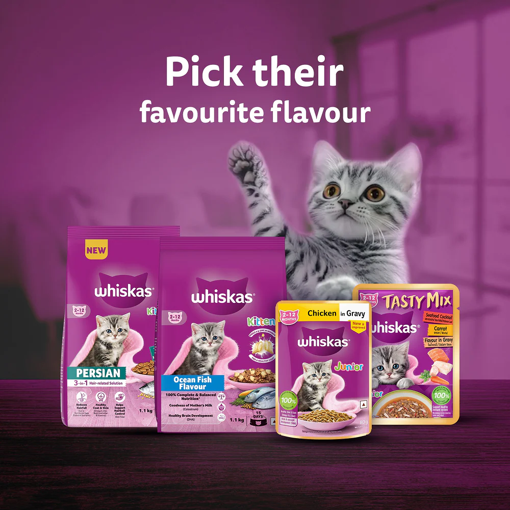 Whiskas Kitten Cat Food Combo |Ocean Fish Dry & Chicken with Salmon in Jelly in Gravy Wet - Image 18
