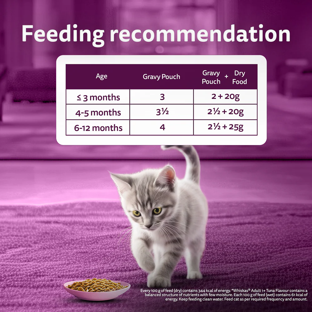 Whiskas Chicken in Gravy Meal Kitten Cat Wet Food - Image 17