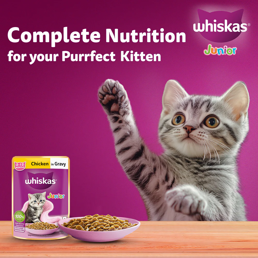 Whiskas Chicken in Gravy Meal Kitten Cat Wet Food - Image 6