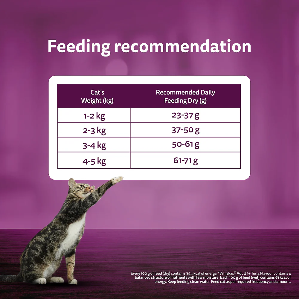 Whiskas Mackerel Flavour Adult Cat Dry Food - Image 12