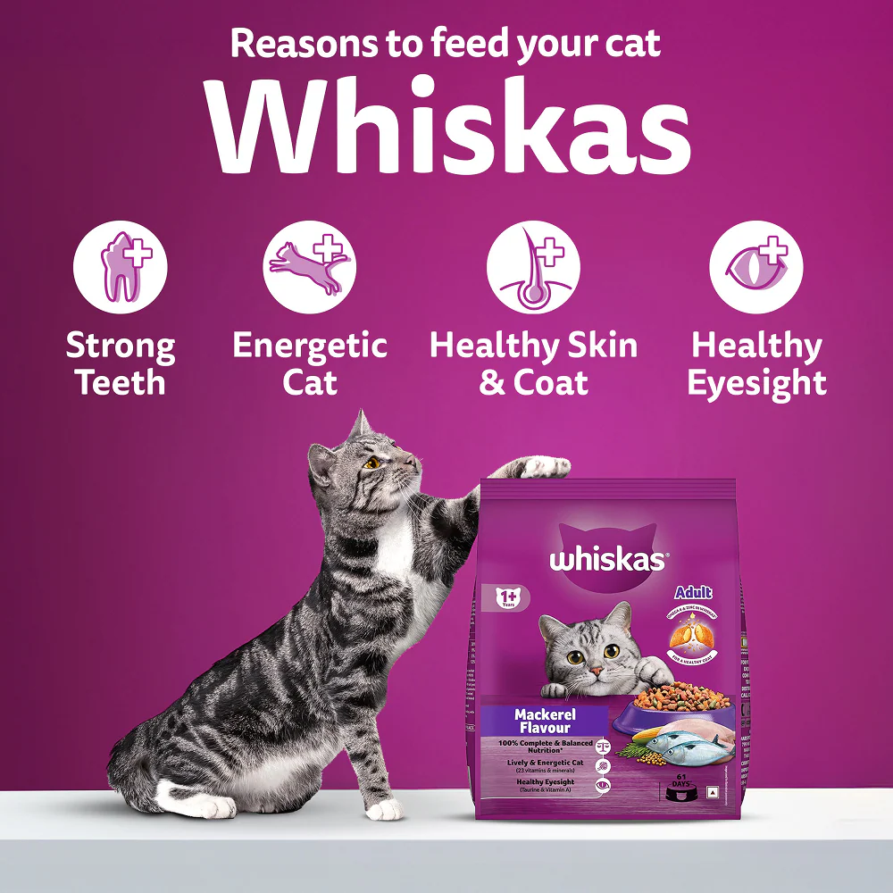 Whiskas Mackerel Flavour Adult Cat Dry Food - Image 7