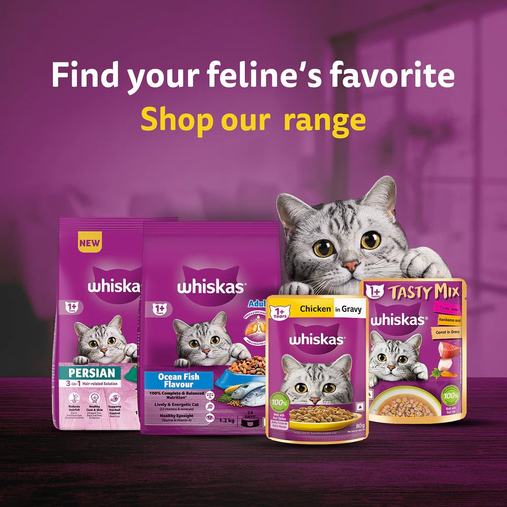 Whiskas Mackerel Flavour Adult Cat Dry Food - Image 16