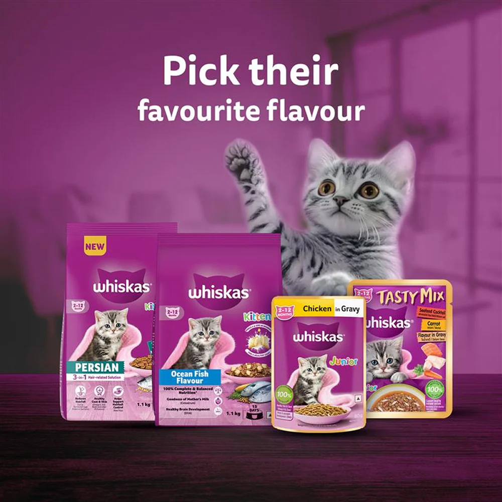 Whiskas Mackerel Flavour Kitten (2 to 12 months)Cat Dry Food - Image 17