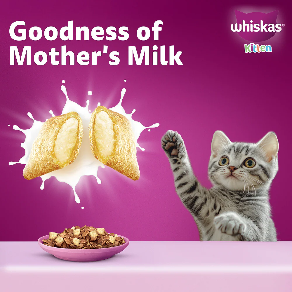 Whiskas Mackerel Flavour Kitten (2 to 12 months)Cat Dry Food - Image 9