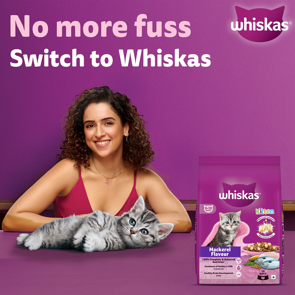 Whiskas Mackerel Flavour Kitten (2 to 12 months)Cat Dry Food - Image 4