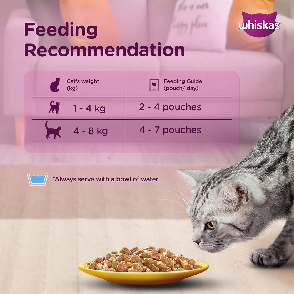 Whiskas Ocean Fish Adult Cat Wet Food - Image 8