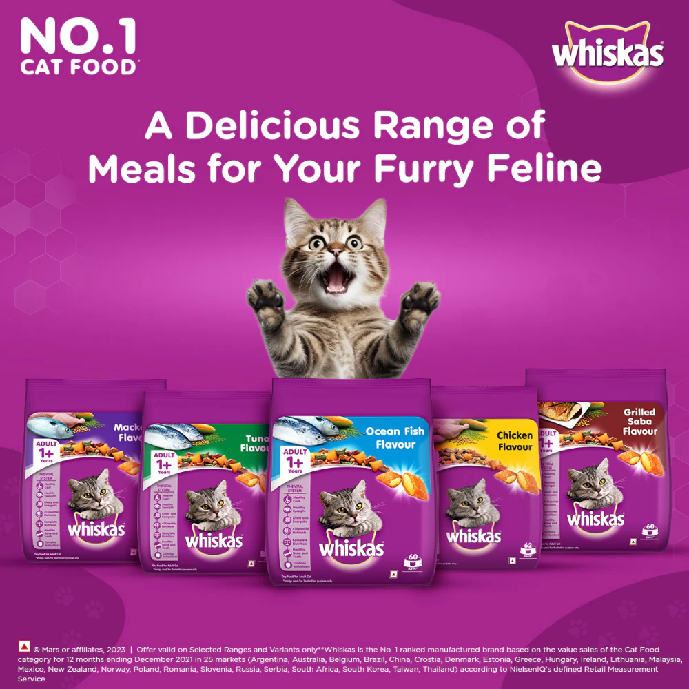 Whiskas Ocean Fish and Tuna Flavour Adult Cat Dry Food Combo - Image 10