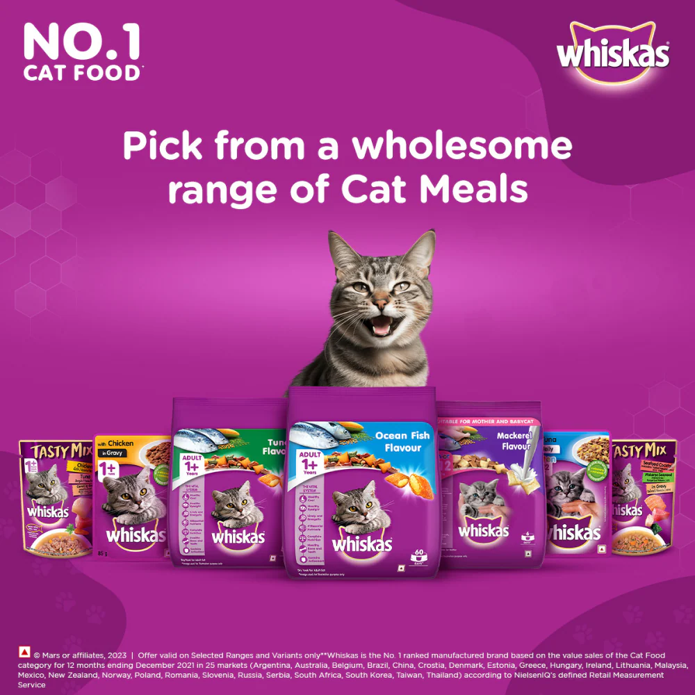 Whiskas Ocean Fish and Tuna Flavour Adult Cat Dry Food Combo - Image 11