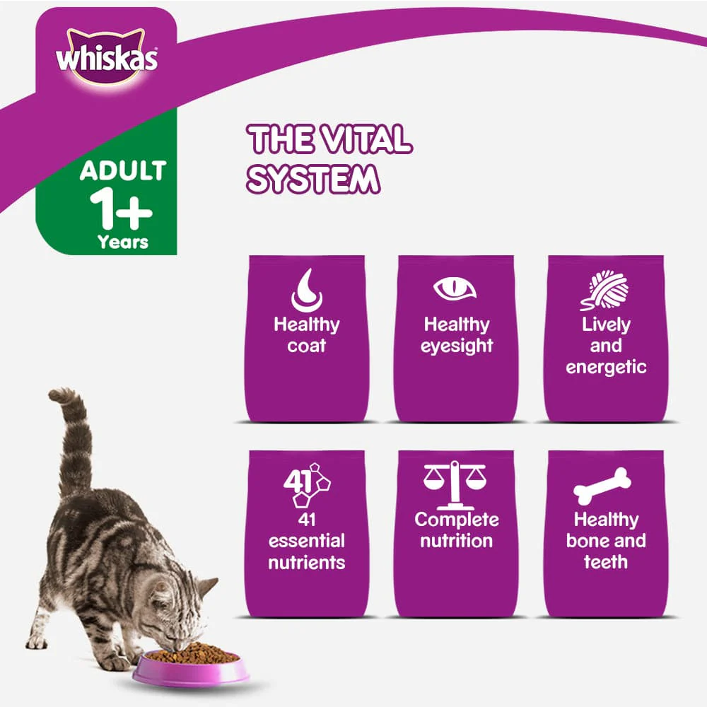 Whiskas Ocean Fish and Tuna Flavour Adult Cat Dry Food Combo - Image 23