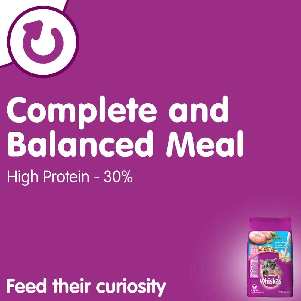 Whiskas Ocean Fish and Mackerel Flavour Kitten Cat (2 to 12 months) Dry Food Combo - Image 5