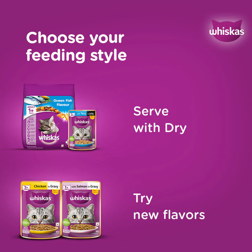 Whiskas Ocean Fish and Tuna in Jelly Meal Adult Cat Wet and Dry Food Combo - Image 22