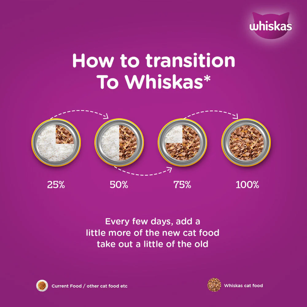 Whiskas Ocean Fish and Tuna in Jelly Meal Adult Cat Wet and Dry Food Combo - Image 23
