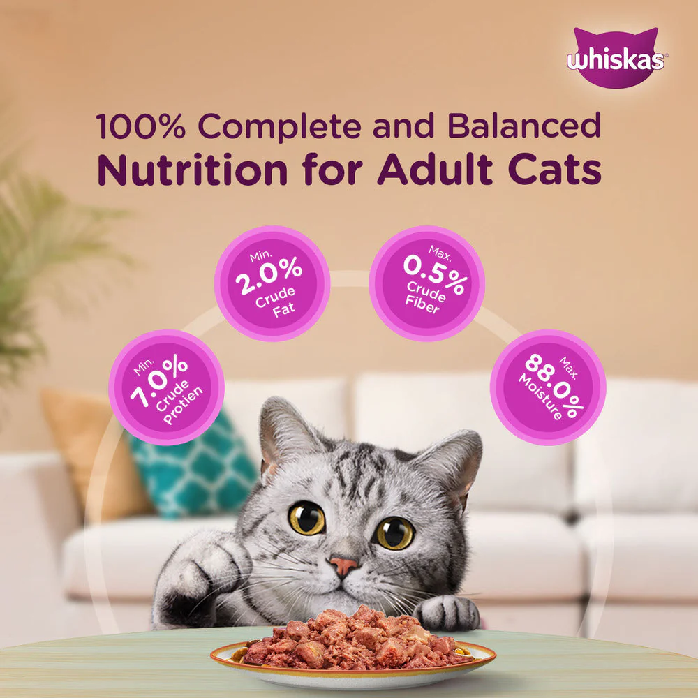 Whiskas Ocean Fish and Tuna in Jelly Meal Adult Cat Wet and Dry Food Combo - Image 30