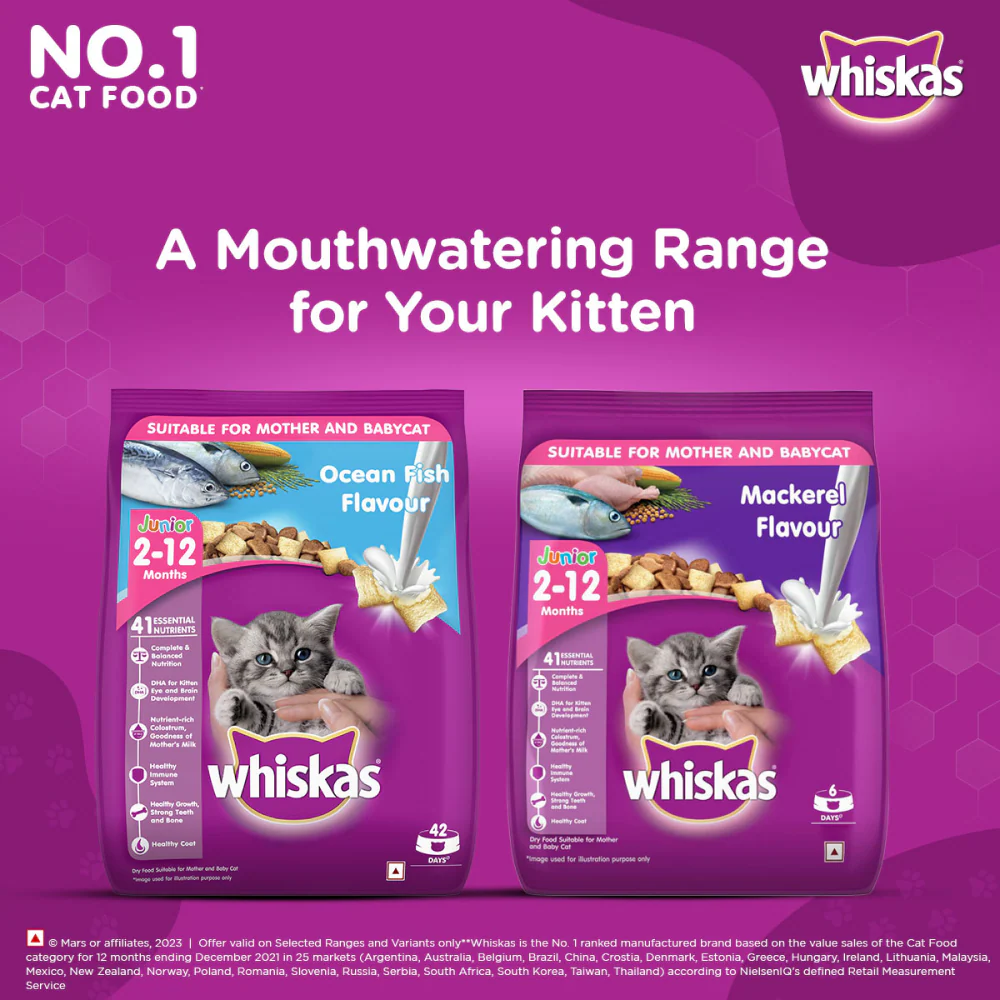Whiskas Ocean Fish and Tuna in Jelly Kitten Dry and Wet Food Combo - Image 12