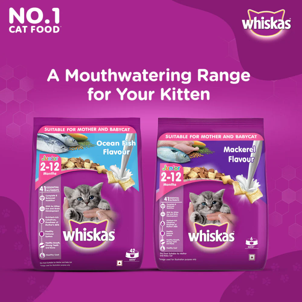 Whiskas Ocean Fish and Tuna in Jelly Kitten Dry and Wet Food Combo - Image 13