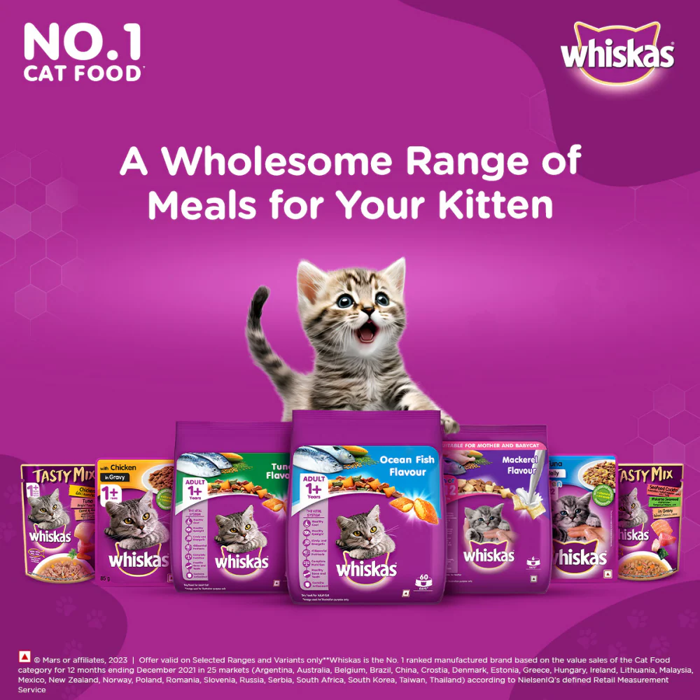 Whiskas Ocean Fish and Tuna in Jelly Kitten Dry and Wet Food Combo - Image 14