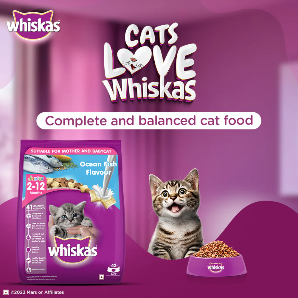 Whiskas Ocean Fish and Tuna in Jelly Kitten Dry and Wet Food Combo - Image 4