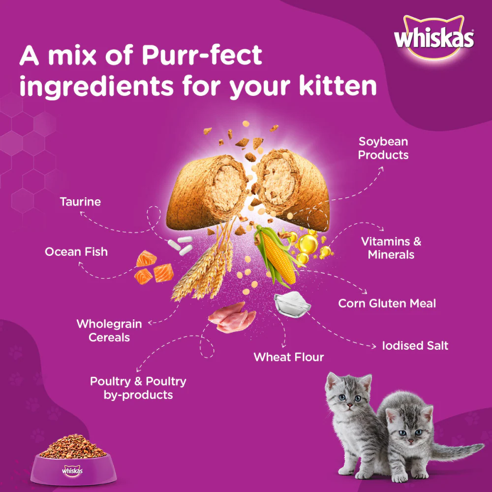 Whiskas Ocean Fish and Tuna in Jelly Kitten Dry and Wet Food Combo - Image 5