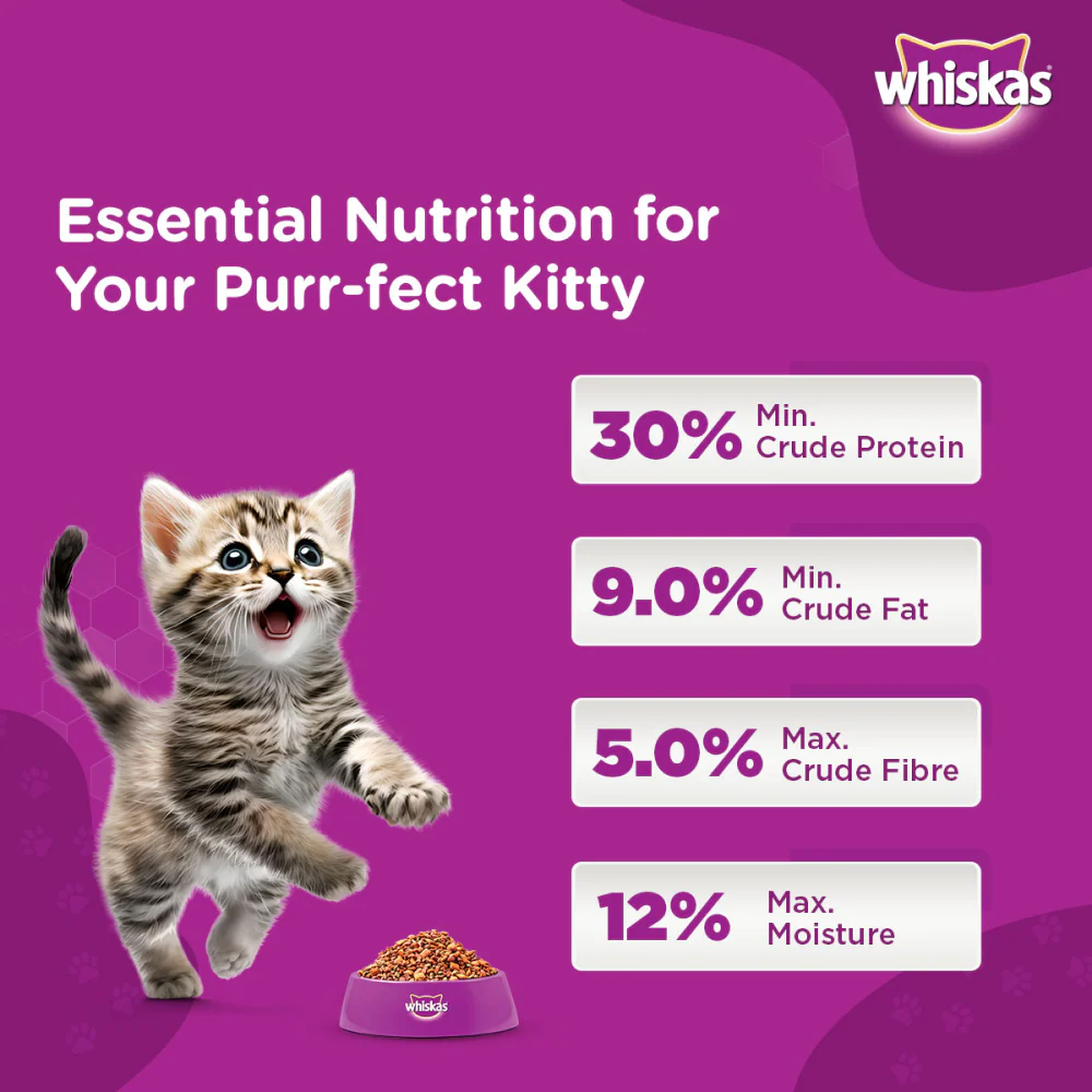 Whiskas Ocean Fish and Tuna in Jelly Kitten Dry and Wet Food Combo - Image 6