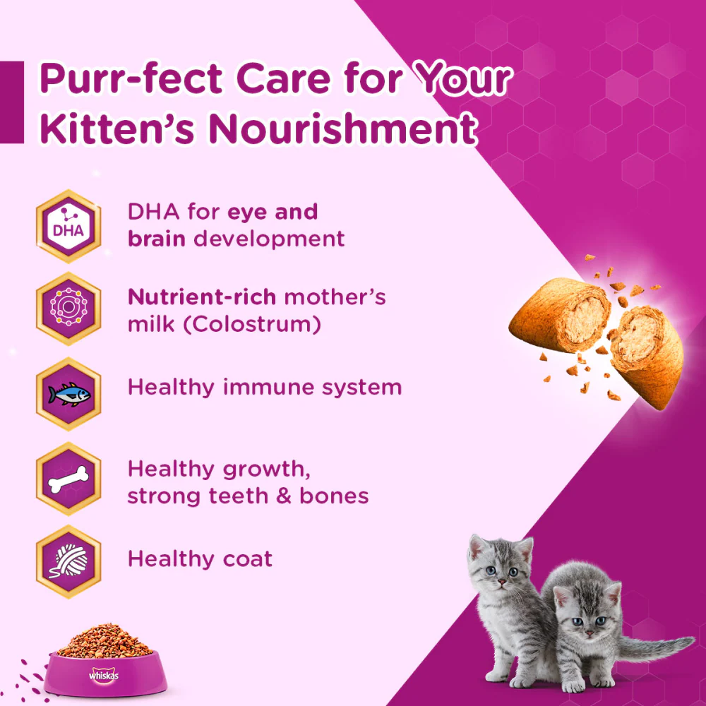 Whiskas Ocean Fish and Tuna in Jelly Kitten Dry and Wet Food Combo - Image 7