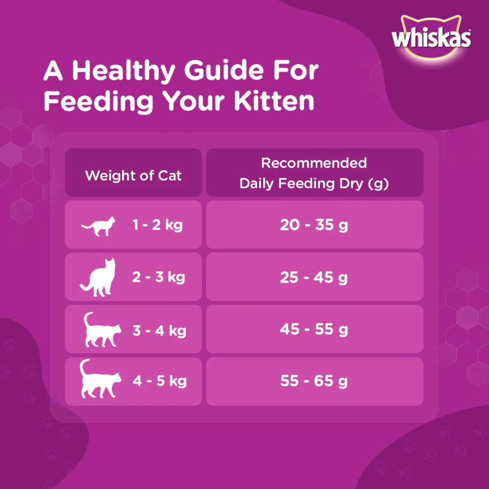 Whiskas Ocean Fish and Tuna in Jelly Kitten Dry and Wet Food Combo - Image 8